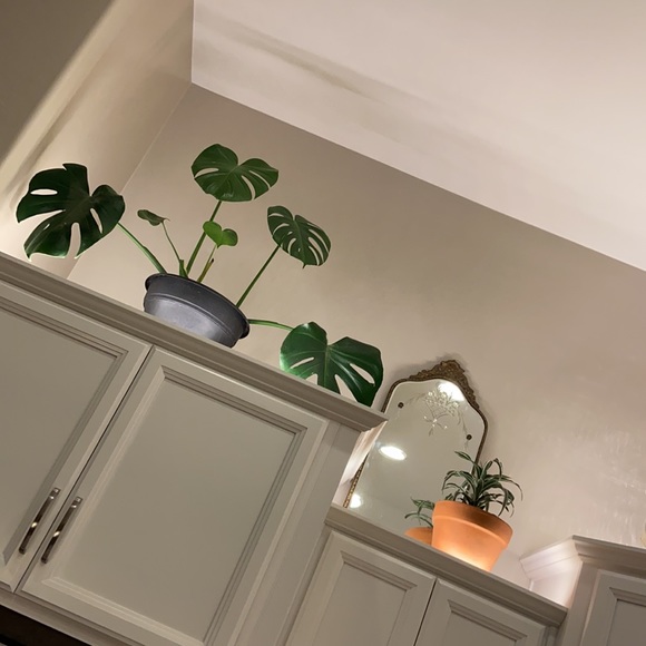 Meet your Posher, Juliette - Picture 10 of 11